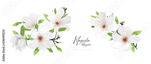 Elegant spring magnolia flowers bouquet set. Blooming branches, green leaves editable floral watercolor style vector Illustration. Stylish minimalist greeting, invite card decoration isolated on white