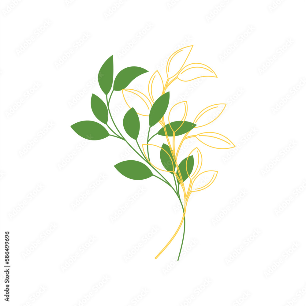 Fototapeta premium Leaf Plant Decoration