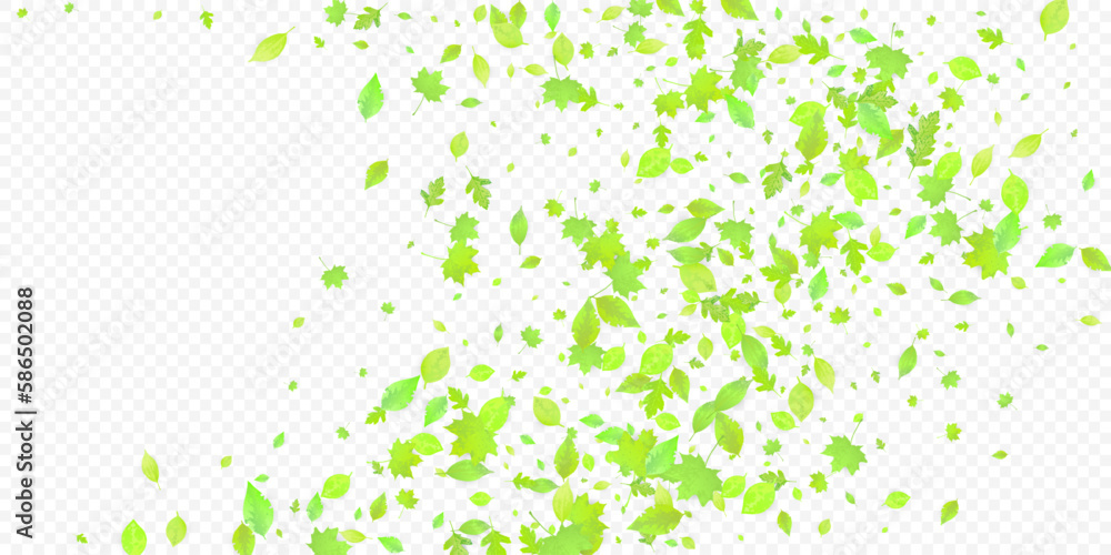 Leaves Falling Spring Flying Foliage Green Leaf Leaves Falling Spring Flying Foliage Green Leaf
