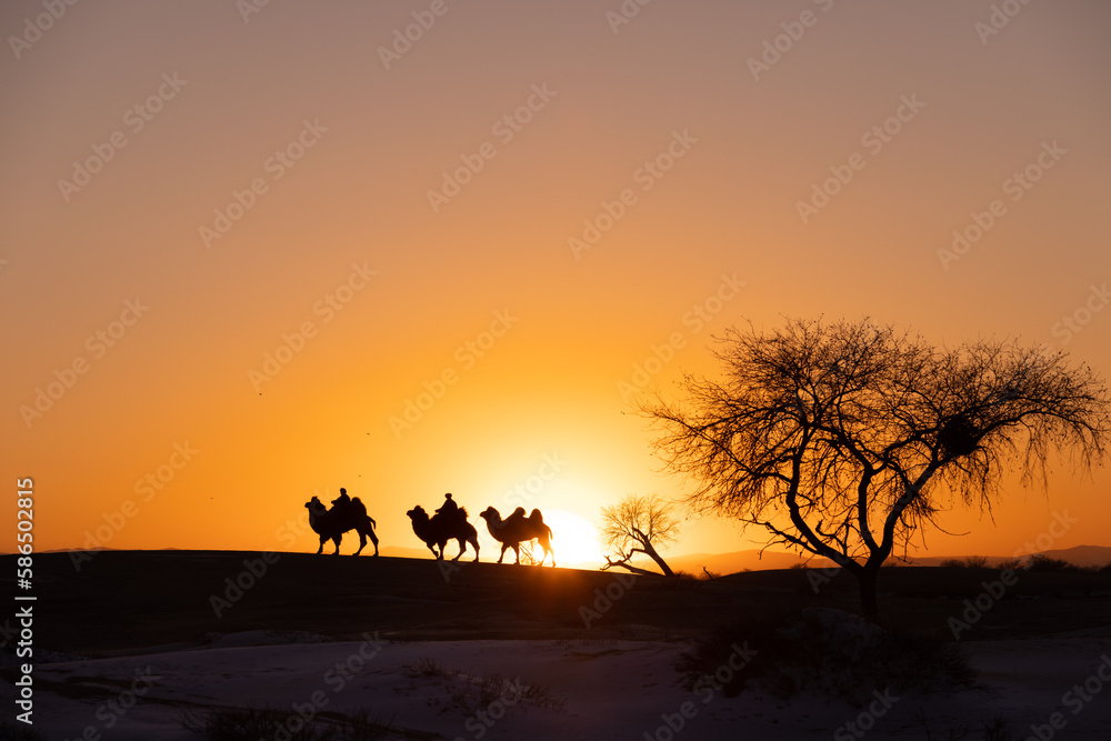 silhouette of camels at the Mini-Gobi desert,Tasarkhai,Mongolia