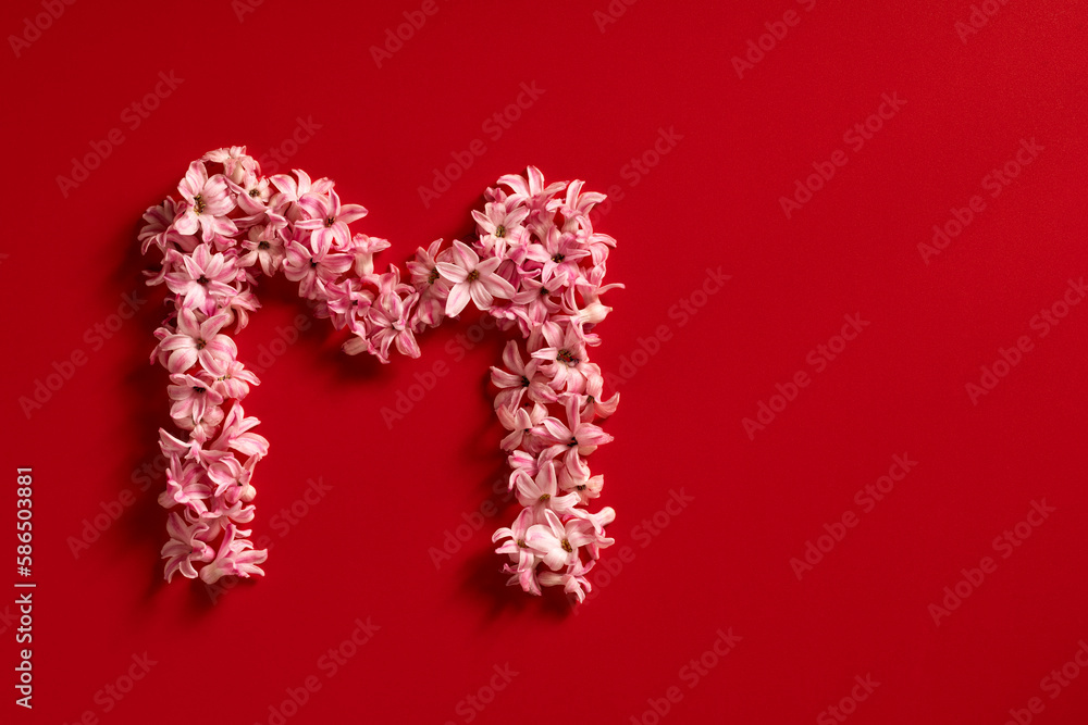 Letter M made from pink hyacinth and petals isolated on a red background. Floral mother's day alphabet concept. Spring blossom, valentine or romantic font collection. Flat lay, top view.