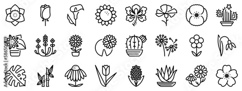Line icons about flowers and plants on transparent background with editable stroke.