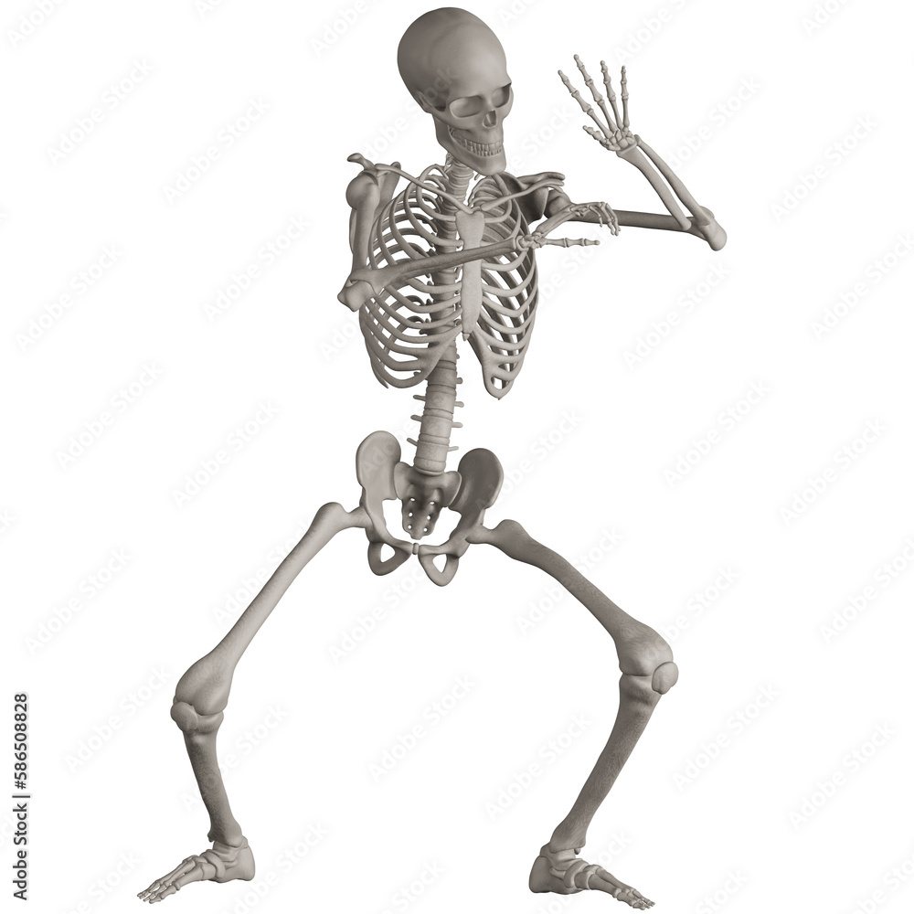 skeleton posing 3d render illustration with transparent background skeleton posing 3d render illustration with transparent background