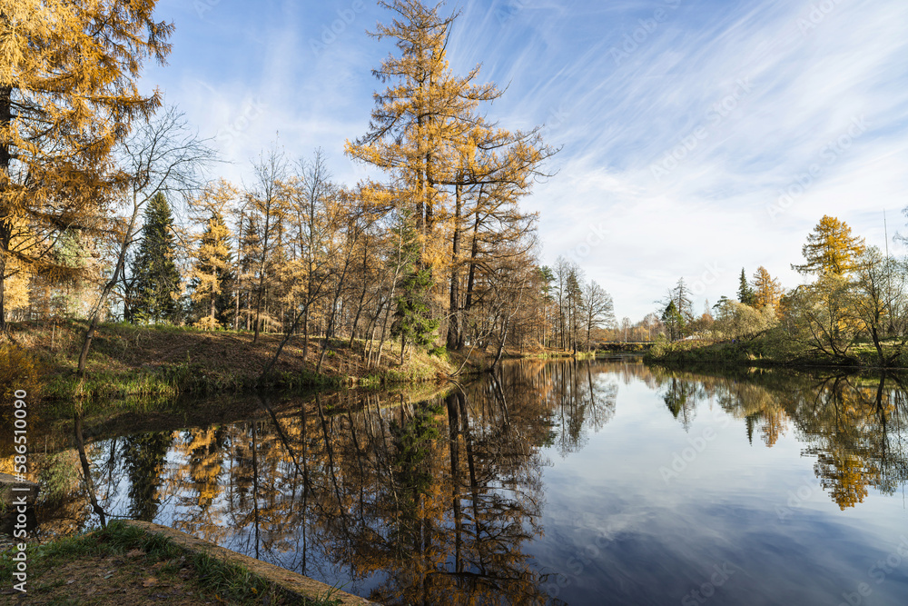 Autumn landscape on a sunny day, on the lake. Priyutino, Leningrad Region, Northwest Russia