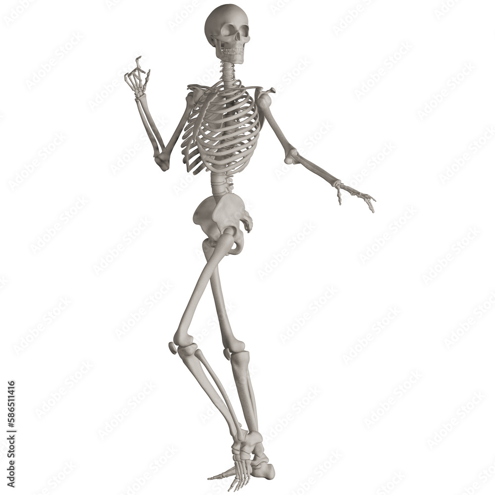 skeleton posing 3d render illustration with transparent background skeleton posing 3d render illustration with transparent background