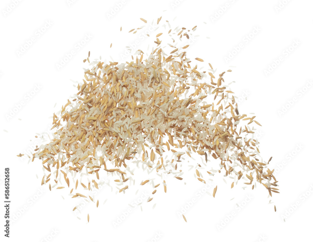 Paddy Rice grain fly in mid air. Yellow Golden Paddy Rice falling scatter, explosion float in shape form line group. White background isolated freeze motion high speed shutter Paddy Rice grain fly in mid air. Yellow Golden Paddy Rice falling scatter, explosion float in shape form line group. White background isolated freeze motion high speed shutter