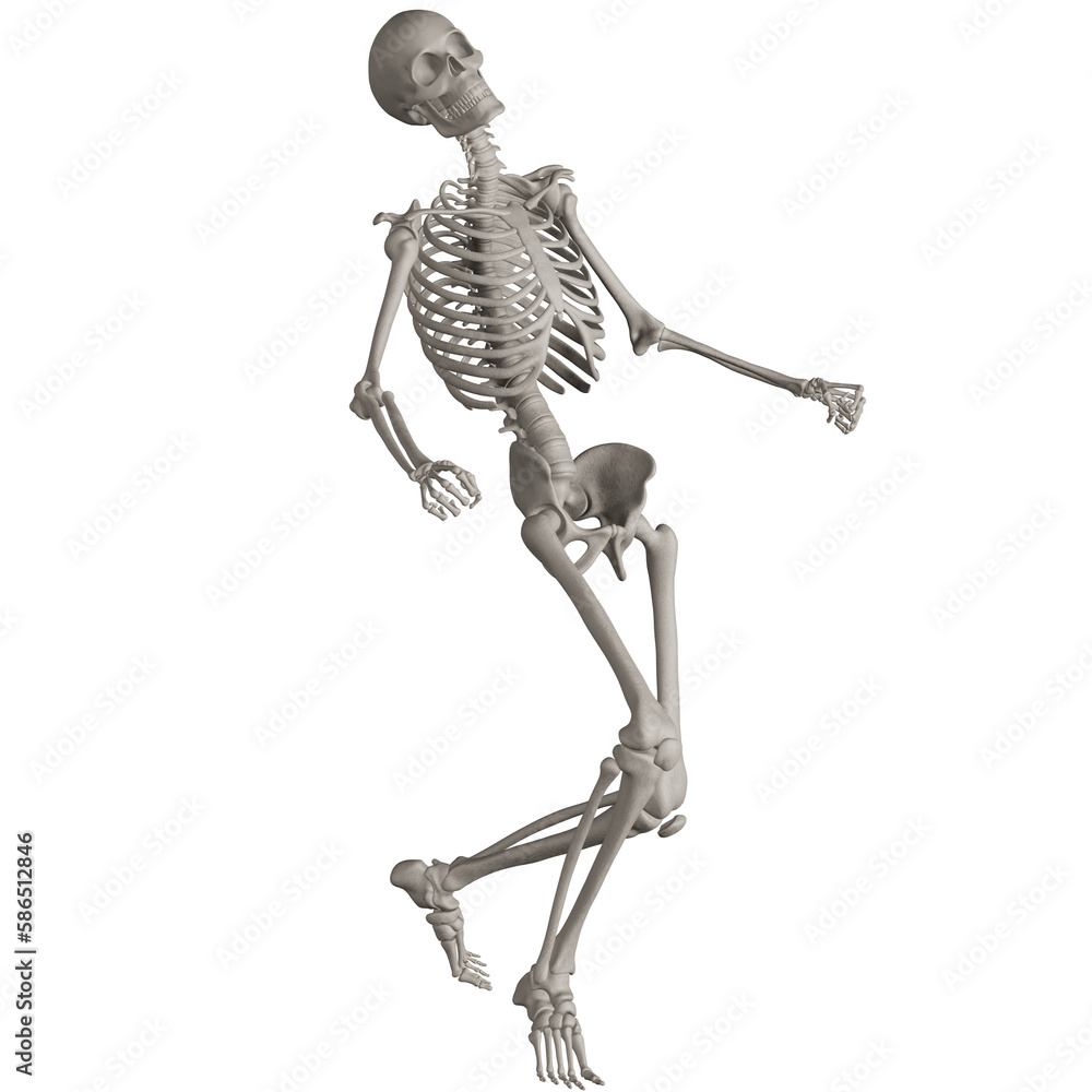 skeleton posing 3d render illustration with transparent background skeleton posing 3d render illustration with transparent background