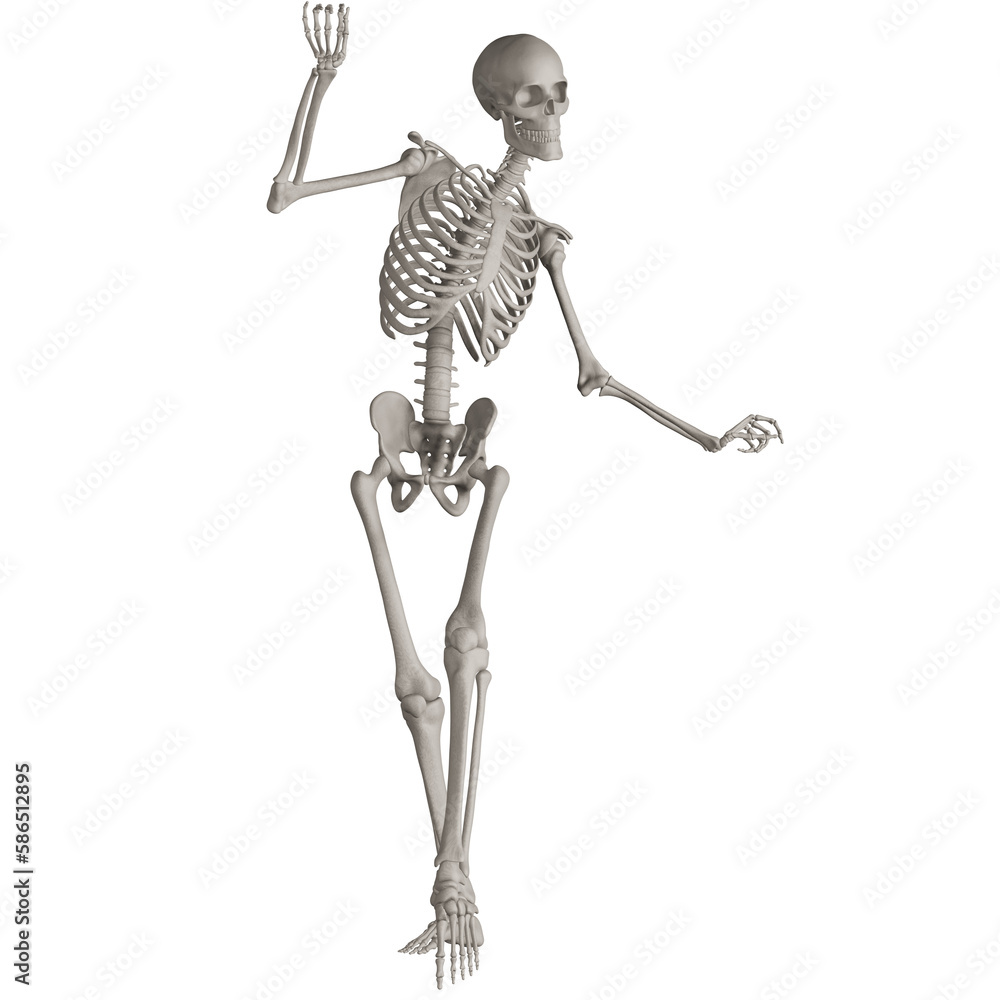 skeleton posing 3d render illustration with transparent background skeleton posing 3d render illustration with transparent background
