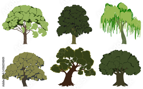 Green summer trees set. Oak  chestnut  willow  hornbeam  beech  ash. Vector illustration