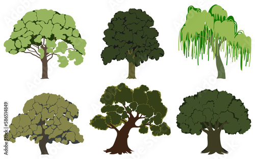 Green summer trees set. Oak, chestnut, willow, hornbeam, beech, ash. Vector illustration