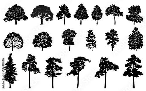 Tree silhouettes set. Deciduous and coniferous trees. Vector illustration