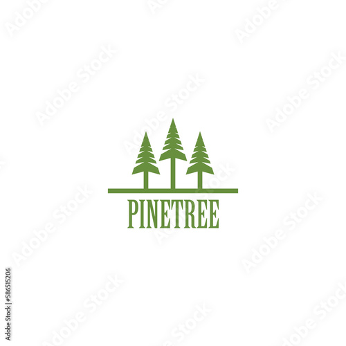 Pine Tree Logo Vector. pine evergreen fir hemlock spruce conifer cedar coniferous cypress larch pinus tree forest vintage retro hipster line art Logo design