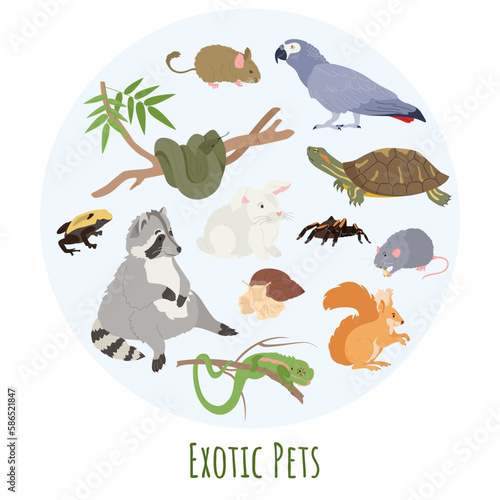 Exotic Pets And Fauna Concept