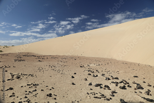 Desert landscape with dunes and sand waves 