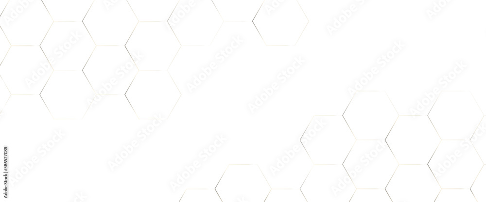 Abstract geometric hexagon white and gray color background. Computer digital drawing, background with hexagons, abstract background with lines, modern Abstract vector illustration. Poster, wallpaper.