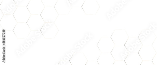 Obraz na płótnie Abstract geometric hexagon white and gray color background. Computer digital drawing, background with hexagons, abstract background with lines, modern Abstract vector illustration. Poster, wallpaper. w salonie