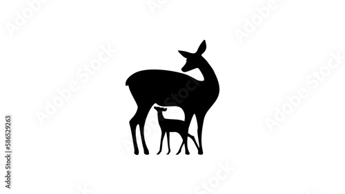 White-tailed deer feeding a fawn