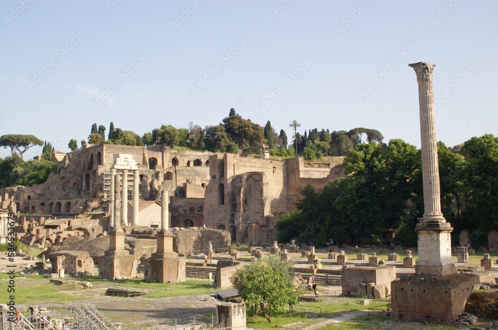 Obraz premium details of roman forum, Rome, Italy