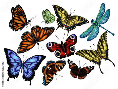 Vector set of 9 insects. Monarch butterfly, hive butterfly, peacock butterfly, butterfly swallowtail, pieridae, butterflies admiral, podalirius, papilio, dragonfly photo