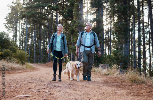 Canvas Print Forrest, hiking and old couple with dog on nature walk in mountain in Peru for fitness and exercise