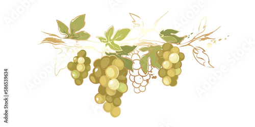 Grapevine with golden brush strokes. Vector illustration, design elements with a branch vine with leaves and green berries. Freehand drawing in watercolor style.	
