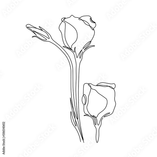  Illustration of a rose. Flowers one line art. Lisianthus one line drawing. Flower one line drawing art. Concept hand drawing sketch line.