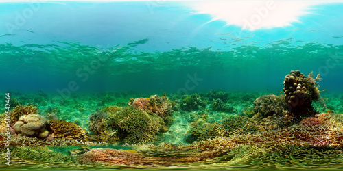 Colourful tropical coral reef. Tropical coral reef. Underwater fishes and corals. Philippines. Virtual Reality 360. © Alex Traveler