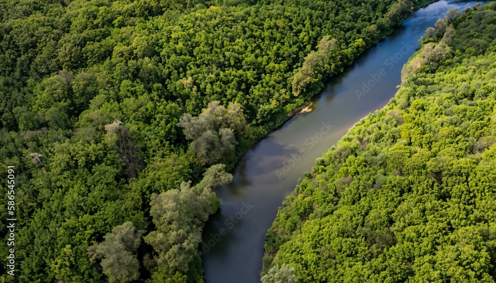 Aerial view of sustainable forest and water Aerial view of sustainable forest and water