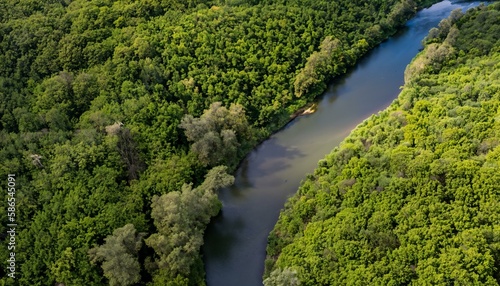 Aerial view of sustainable forest and water