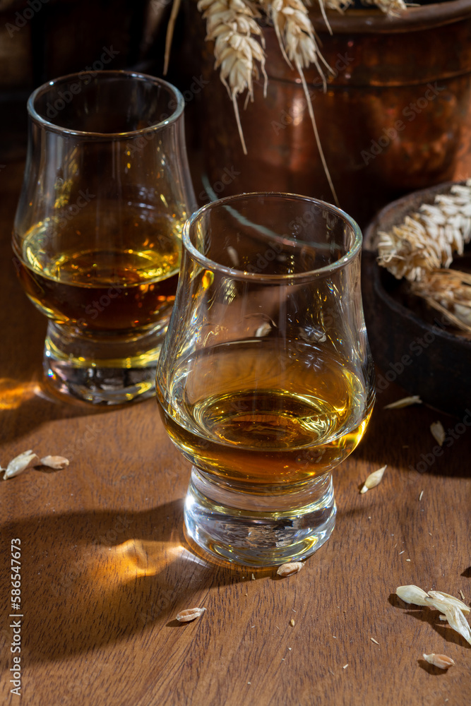 Small tasting glasses with aged Scotch whisky on old dark wooden vintage table with barley grains Small tasting glasses with aged Scotch whisky on old dark wooden vintage table with barley grains