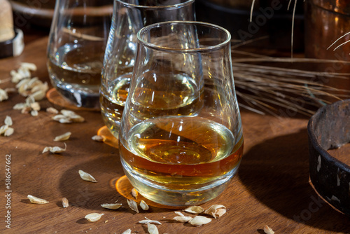 Fototapeta Naklejka Na Ścianę i Meble -  Speyside scotch whisky tasting on old dark wooden vintage table with barley grains close up