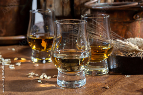 Small tasting glasses with aged Scotch whisky on old dark wooden vintage table with barley grains