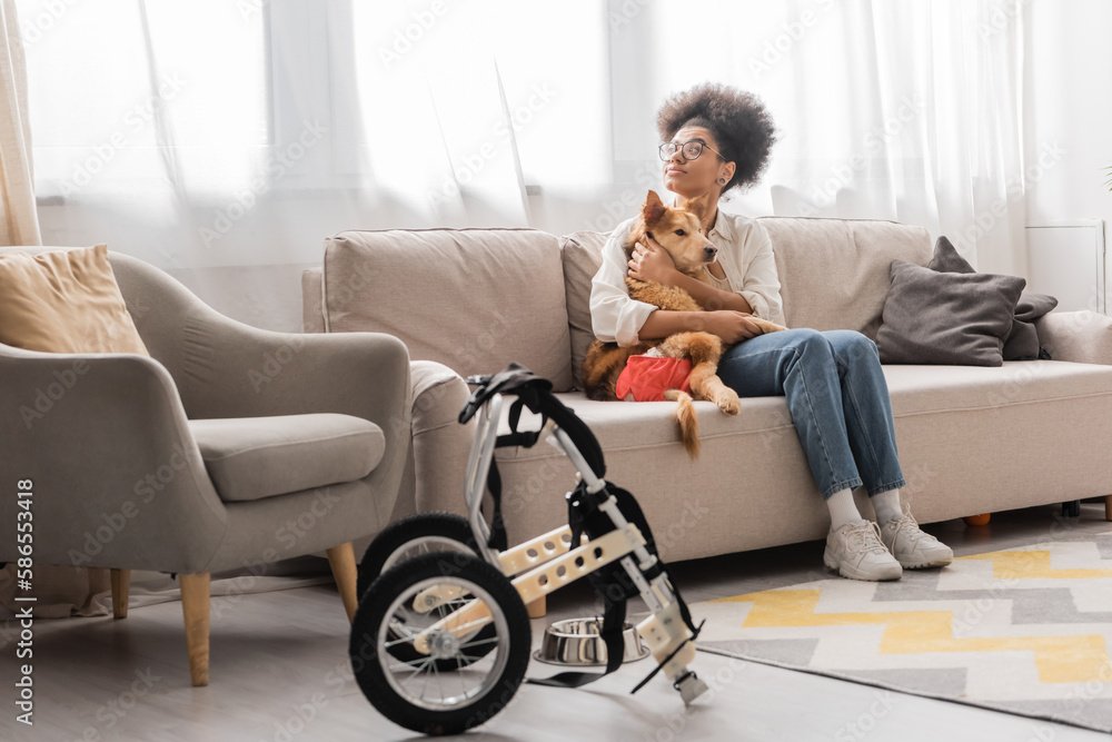 Curly african american woman in eyeglasses hugging dog with special needs near wheelchair in living room. Curly african american woman in eyeglasses hugging dog with special needs near wheelchair in living room.