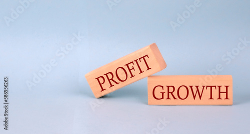 PROFIT GROWTH text on the wooden block, blue background