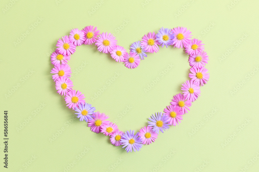 Heart made of pink and purple asters flowers on green background. Creative spring idea, stylish trendy greeting card. Natural minimal concept. Flowers heart. Flat lay, top view. Heart made of pink and purple asters flowers on green background. Creative spring idea, stylish trendy greeting card. Natural minimal concept. Flowers heart. Flat lay, top view.