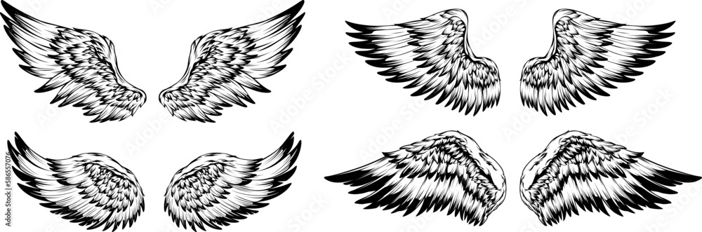 Fototapeta premium Bird wings illustration tattoo style. Hand drawn design element.