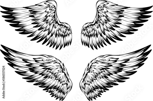 Bird wings illustration tattoo style. Hand drawn design element.