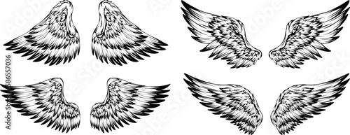 Bird wings illustration tattoo style. Hand drawn design element.