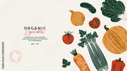 Vegetables horizontal background. Tomatoes with onion and celery with pumpkin and spinach.