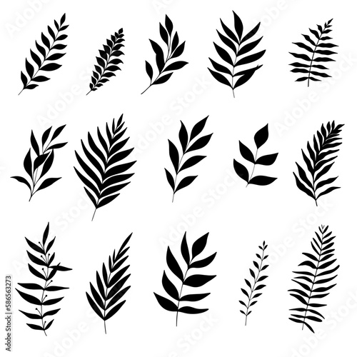 Collection of black silhouettes leaves isolated on white background