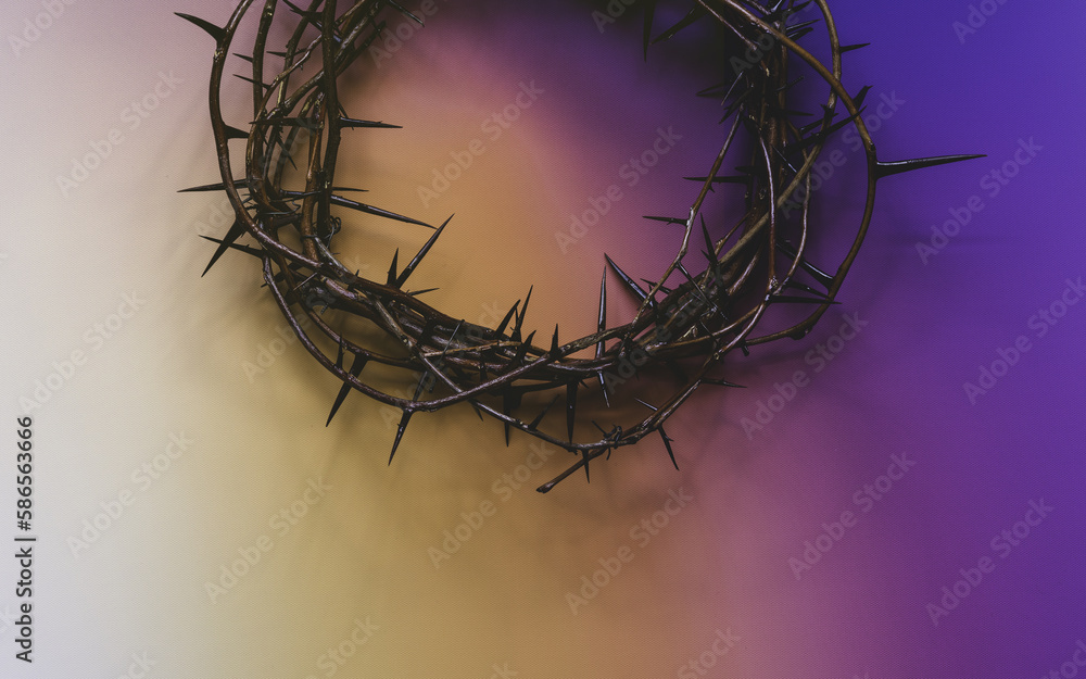 Fototapeta premium Crown of thorns on purple and yellow background