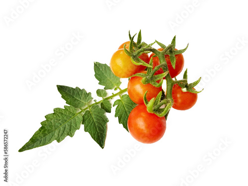 fresh tomato with leaf on white background.