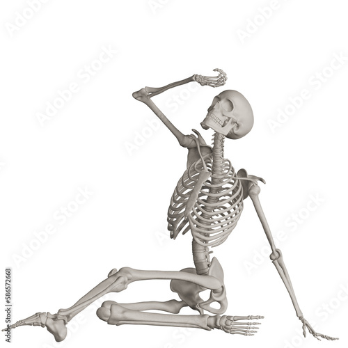 skeleton posing 3d render illustration with transparent background
