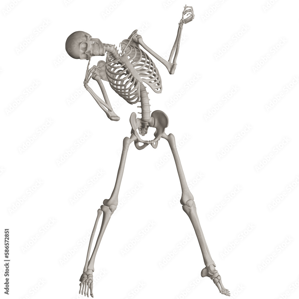skeleton posing 3d render illustration with transparent background skeleton posing 3d render illustration with transparent background