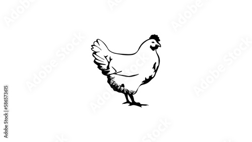 laying hen silhouette