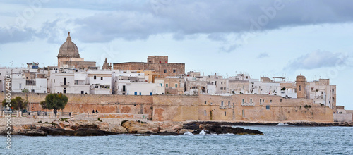 Historic town of Monopoli, view of old houses, coastal roads, Italy, Europe