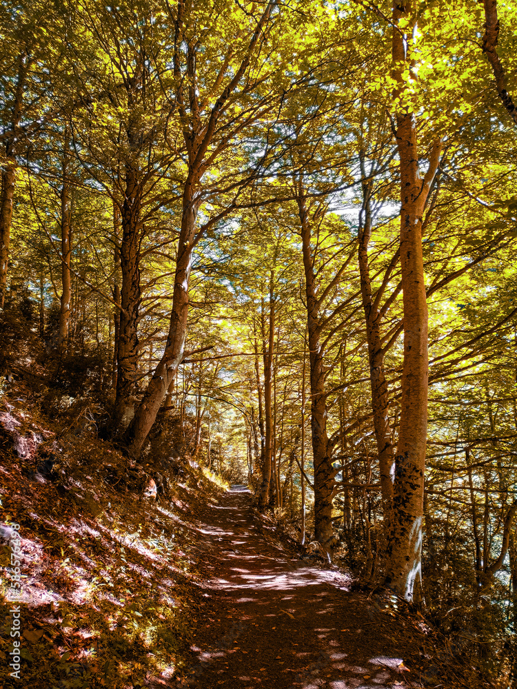 Obraz premium Camins del GR11