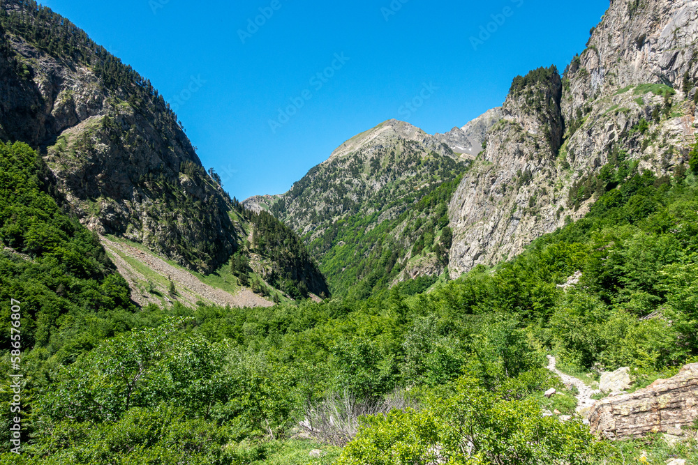 Camins del GR11 Camins del GR11