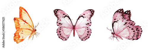 Butterfly watercolor vector elements design isolated on white background