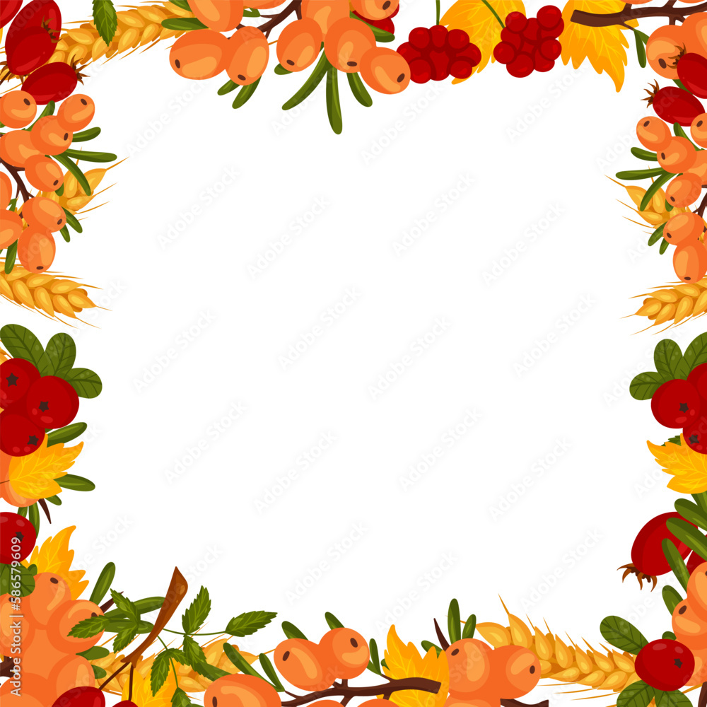 Spring square frame with sea buckthorn berries, rosehip, cranberries, wheat branches and leaves. Summer vector border Spring square frame with sea buckthorn berries, rosehip, cranberries, wheat branches and leaves. Summer vector border